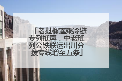 老挝榴莲乘冷链专列抵蓉，中老班列公铁联运出川分拨专线增至五条