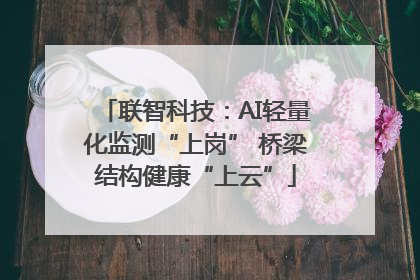 联智科技：AI轻量化监测“上岗” 桥梁结构健康“上云”