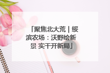 聚焦北大荒｜绥滨农场：沃野绘新景 实干开新局