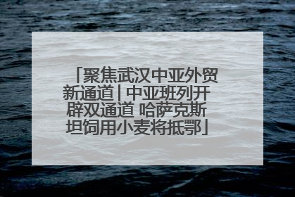 聚焦武汉中亚外贸新通道│中亚班列开辟双通道 哈萨克斯坦饲用小麦将抵鄂