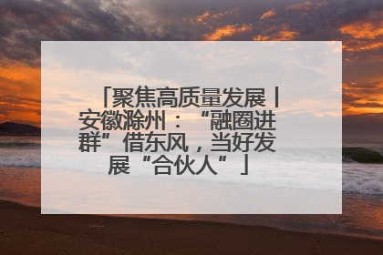 聚焦高质量发展丨安徽滁州：“融圈进群”借东风，当好发展“合伙人”