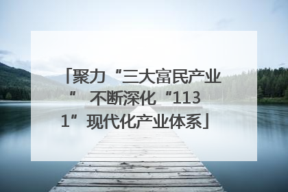 聚力“三大富民产业” 不断深化“1131”现代化产业体系