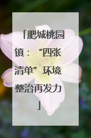 肥城桃园镇：“四张清单”环境整治再发力