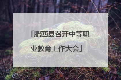 肥西县召开中等职业教育工作大会