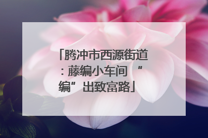 腾冲市西源街道：藤编小车间 “编”出致富路