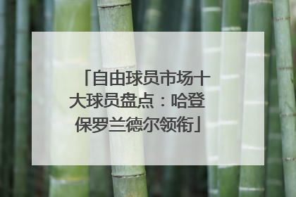 自由球员市场十大球员盘点：哈登保罗兰德尔领衔