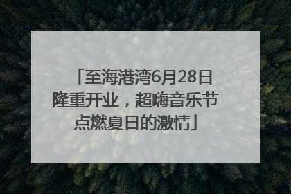至海港湾6月28日隆重开业，超嗨音乐节点燃夏日的激情