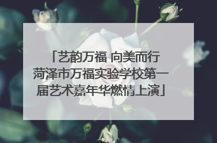 艺韵万福 向美而行 菏泽市万福实验学校第一届艺术嘉年华燃情上演