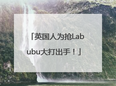 英国人为抢Labubu大打出手！