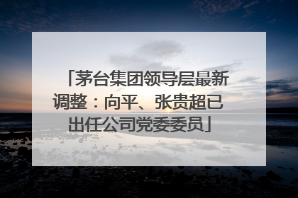 茅台集团领导层最新调整：向平、张贵超已出任公司党委委员