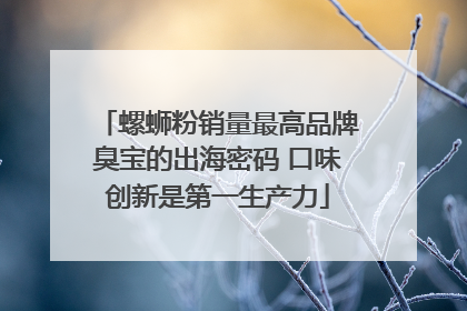 螺蛳粉销量最高品牌臭宝的出海密码 口味创新是第一生产力