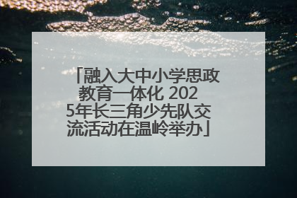 融入大中小学思政教育一体化 2025年长三角少先队交流活动在温岭举办