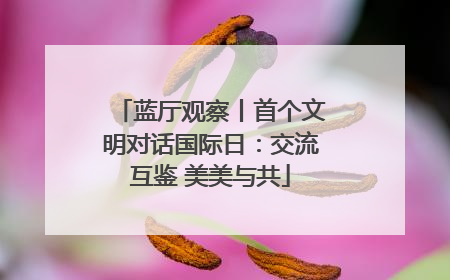 蓝厅观察丨首个文明对话国际日：交流互鉴 美美与共