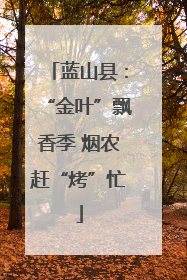 蓝山县：“金叶”飘香季 烟农赶“烤”忙