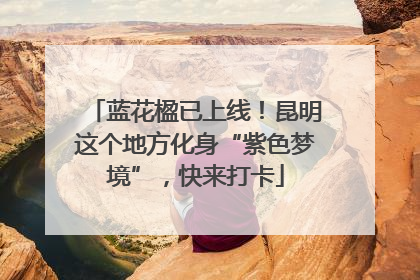 蓝花楹已上线！昆明这个地方化身“紫色梦境”，快来打卡