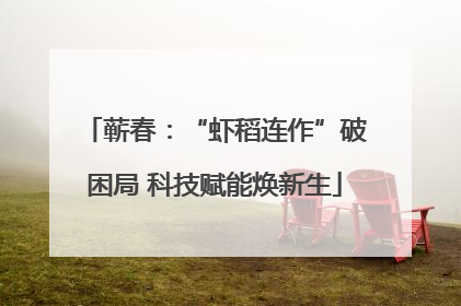 蕲春：“虾稻连作”破困局 科技赋能焕新生