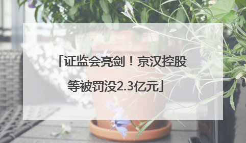 证监会亮剑！京汉控股等被罚没2.3亿元