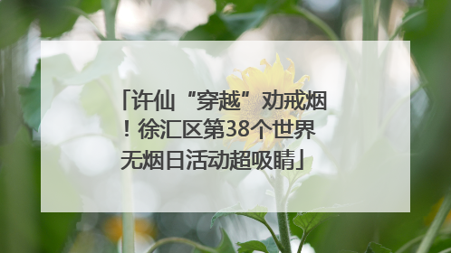 许仙“穿越”劝戒烟！徐汇区第38个世界无烟日活动超吸睛