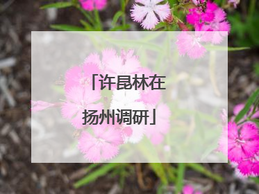 许昆林在扬州调研