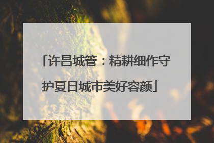 许昌城管：精耕细作守护夏日城市美好容颜
