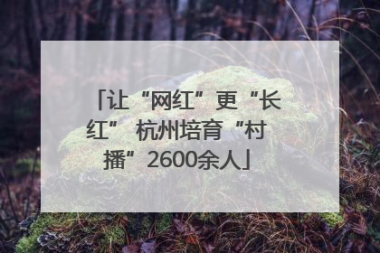 让“网红”更“长红” 杭州培育“村播”2600余人