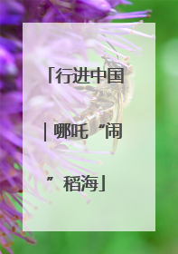行进中国｜哪吒“闹”稻海