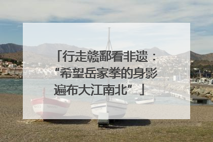 行走赣鄱看非遗：“希望岳家拳的身影遍布大江南北”
