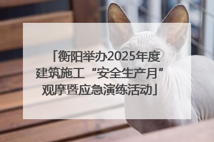 衡阳举办2025年度建筑施工“安全生产月”观摩暨应急演练活动