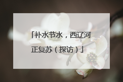 补水节水，西辽河正复苏（探访）