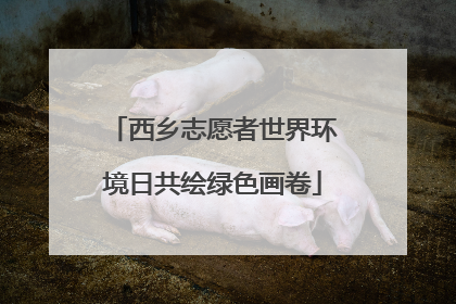 西乡志愿者世界环境日共绘绿色画卷