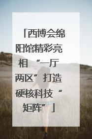西博会绵阳馆精彩亮相 “一厅两区”打造硬核科技“矩阵”