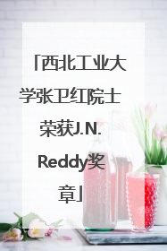 西北工业大学张卫红院士荣获J.N.Reddy奖章