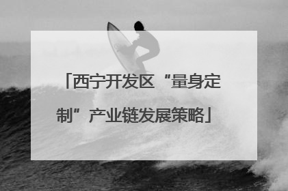 西宁开发区“量身定制”产业链发展策略