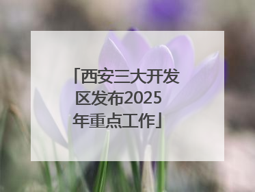 西安三大开发区发布2025年重点工作