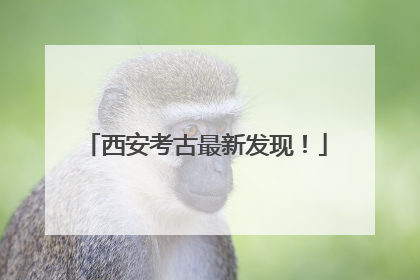 西安考古最新发现！