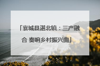 襄城县湛北镇：三产融合 奏响乡村振兴曲