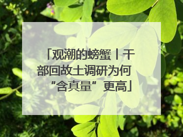 观潮的螃蟹丨干部回故土调研为何“含真量”更高