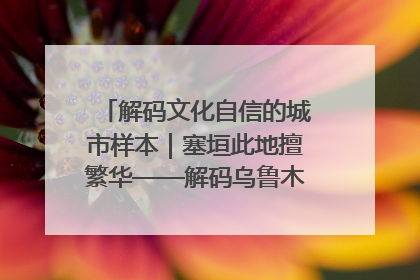 解码文化自信的城市样本｜塞垣此地擅繁华——解码乌鲁木齐的文化自信样本