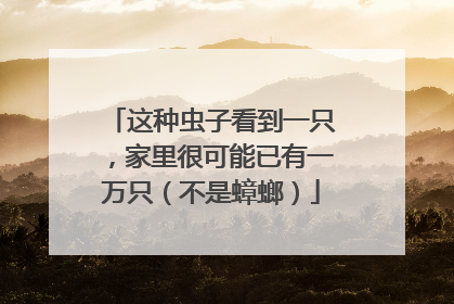 这种虫子看到一只，家里很可能已有一万只（不是蟑螂）