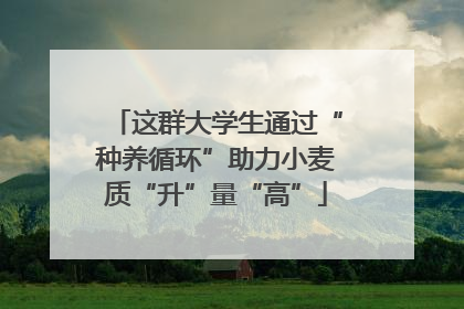 这群大学生通过“种养循环”助力小麦质“升”量“高”