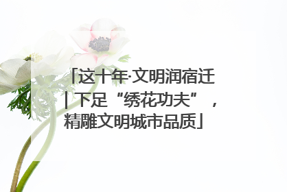 这十年·文明润宿迁｜下足“绣花功夫”，精雕文明城市品质