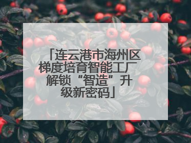 连云港市海州区梯度培育智能工厂 解锁“智造”升级新密码
