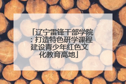辽宁雷锋干部学院：打造特色研学课程 建设青少年红色文化教育高地