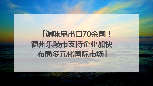 调味品出口70余国！德州乐陵市支持企业加快布局多元化国际市场
