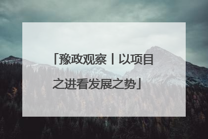 豫政观察丨以项目之进看发展之势