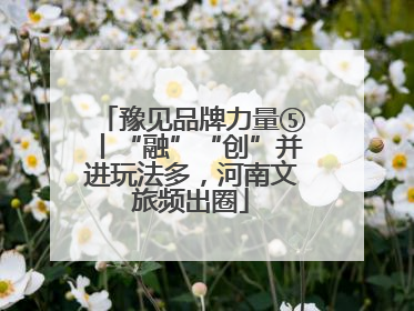 豫见品牌力量⑤丨“融”“创”并进玩法多，河南文旅频出圈