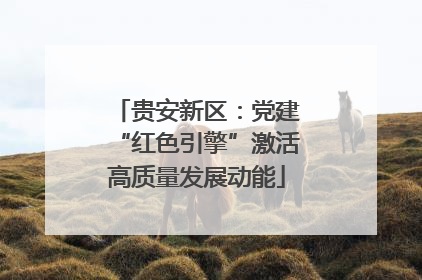 贵安新区：党建“红色引擎”激活高质量发展动能