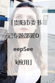 贵阳市委书记专题部署DeepSeek应用