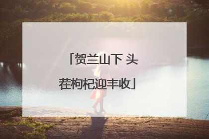 贺兰山下 头茬枸杞迎丰收