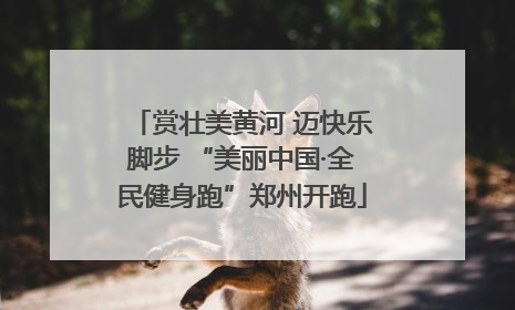 赏壮美黄河 迈快乐脚步 “美丽中国·全民健身跑”郑州开跑